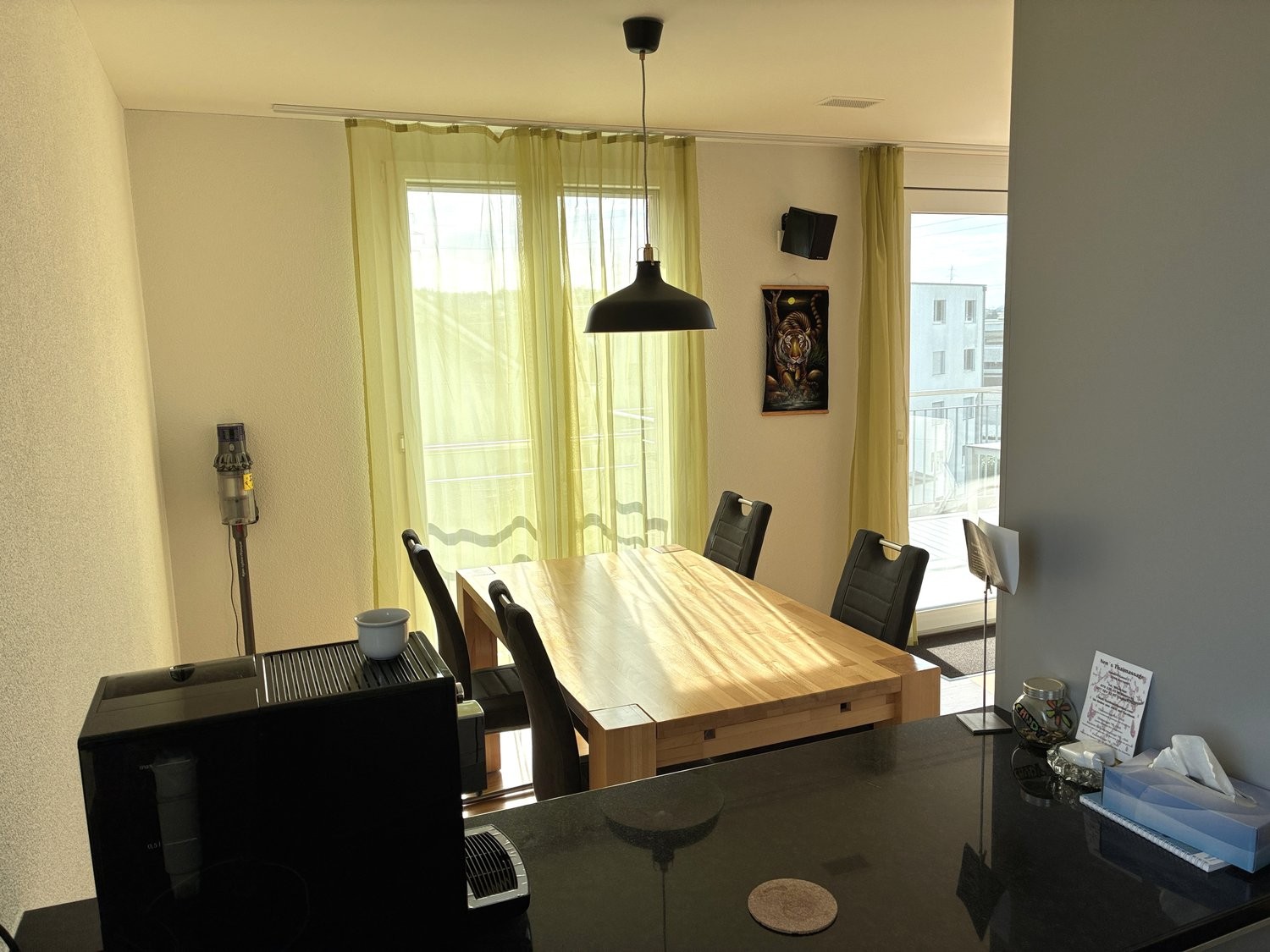 Appartement meublé de 3 ½ pièces