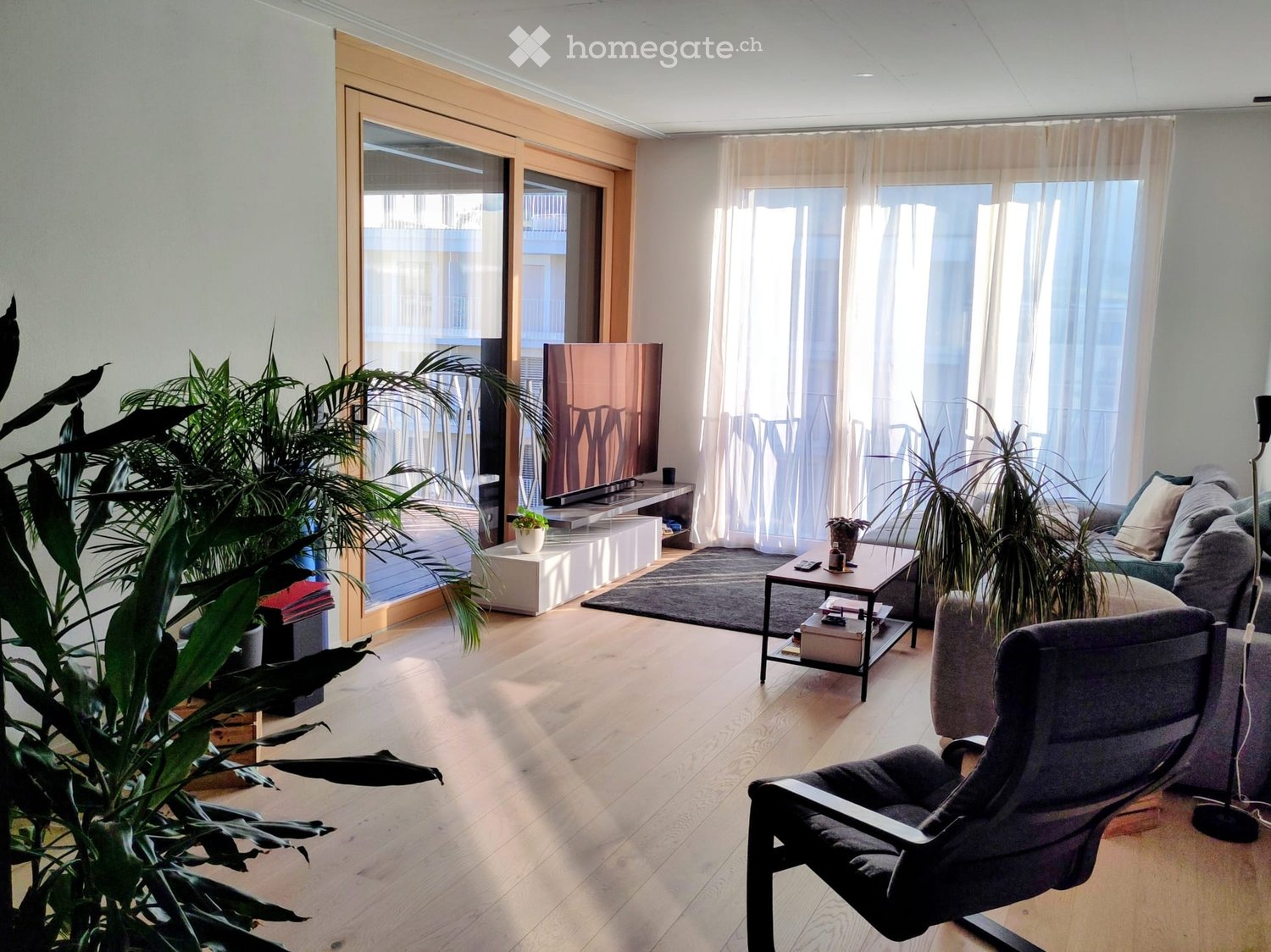 Appartement de 2 ½ pièces
