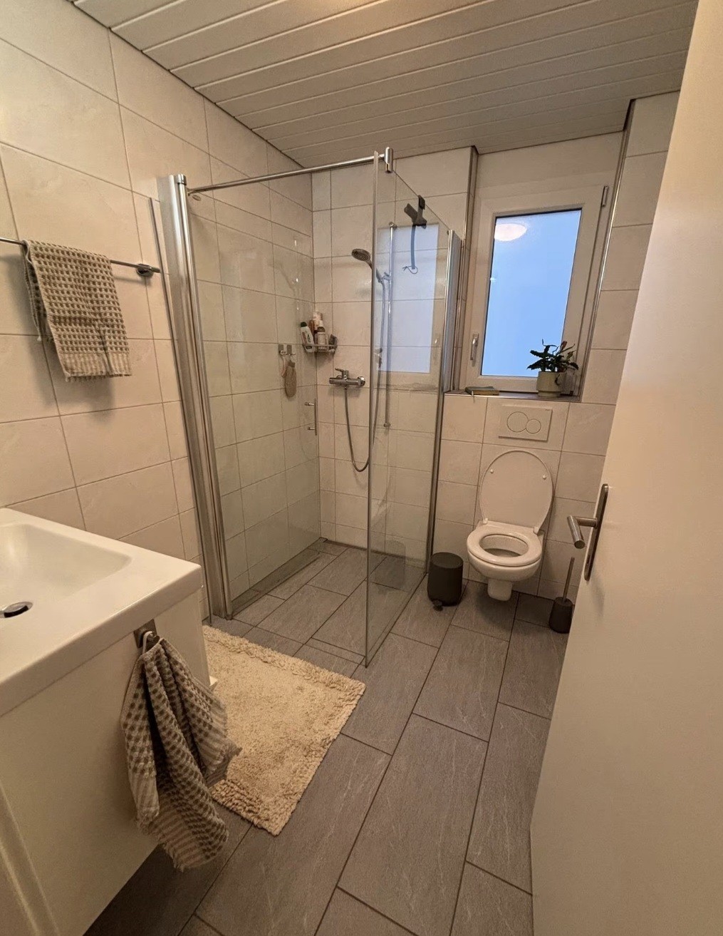Appartement de 4 ½ pièces, photo 3 sur 6