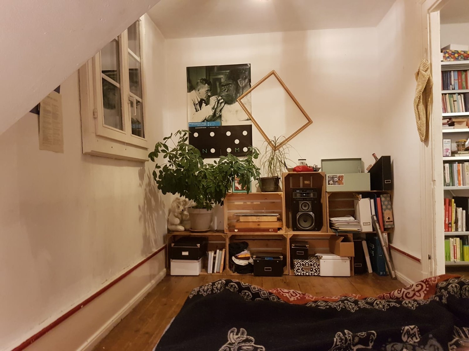 Chambre dans une colocation, photo 3 sur 3