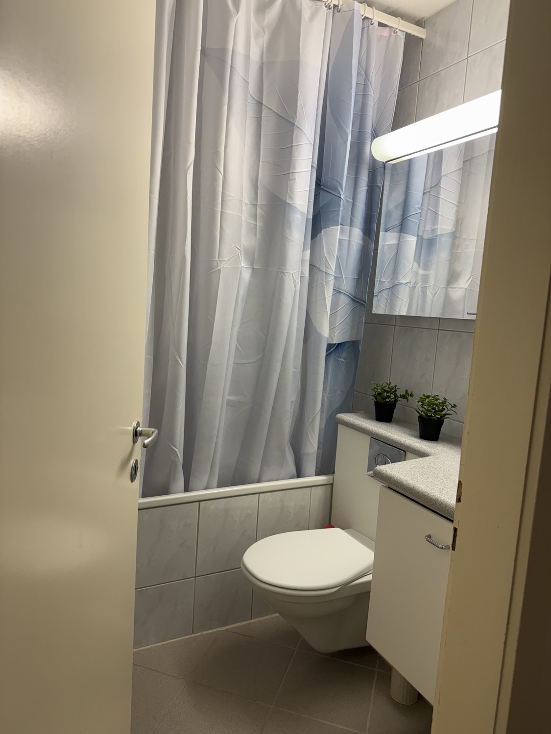 Appartement de 2 ½ pièces, photo 3 sur 10