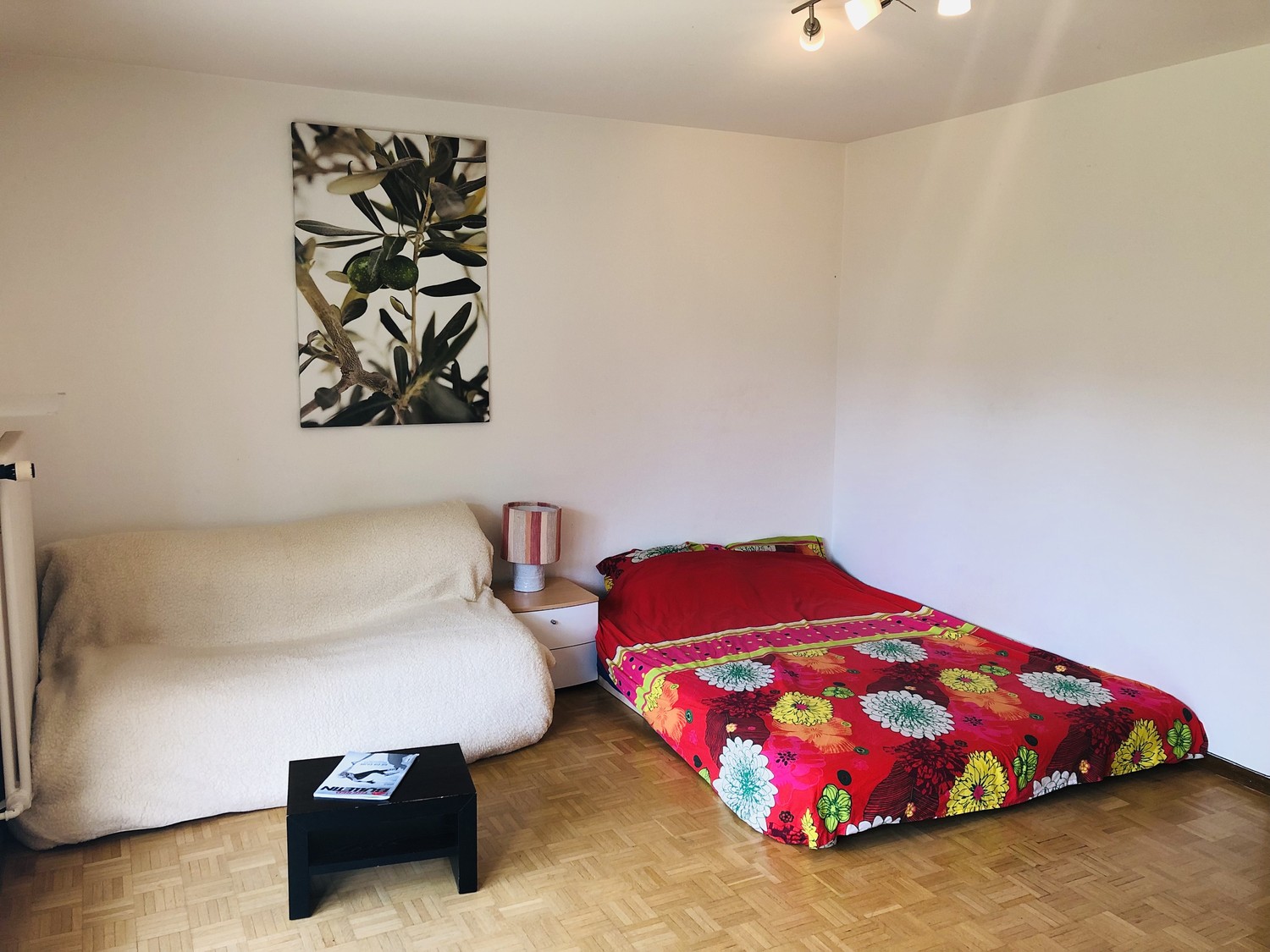 Appartement de 1 ½ pièces