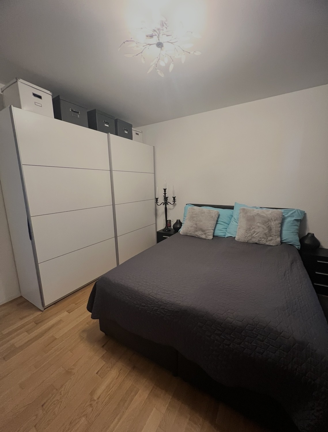 Appartement de 2 ½ pièces, photo 1 sur 5