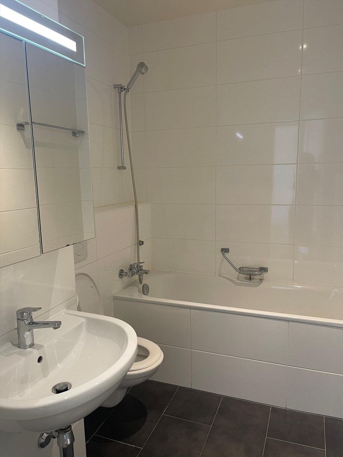 1 rooms apartment, photo 4 sur 8