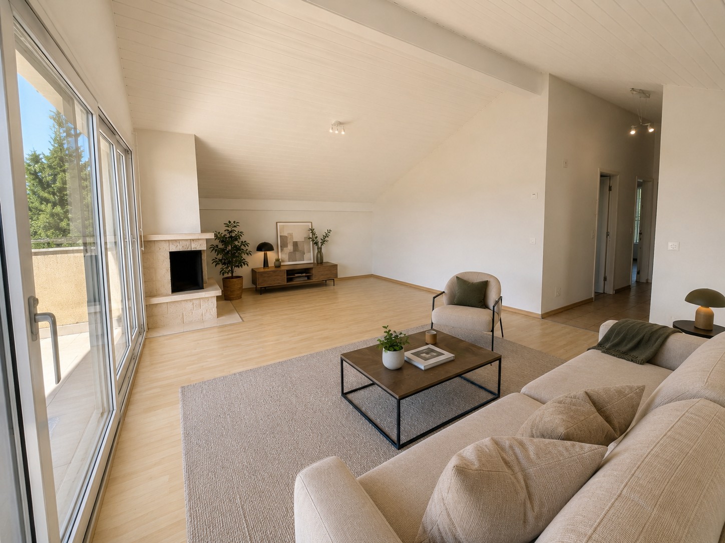 4 ½ rooms apartment