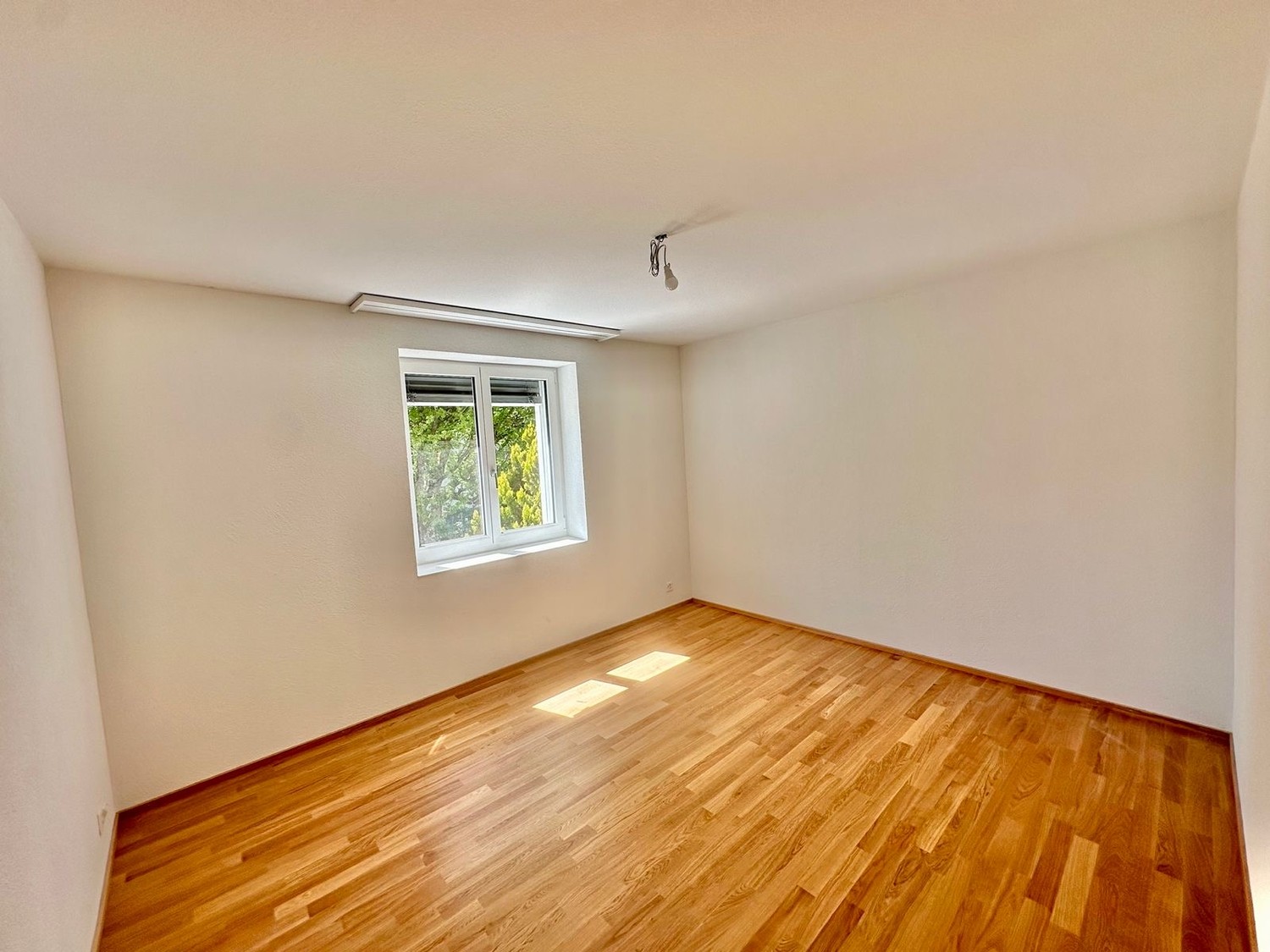 Chambre dans une colocation, photo 5 sur 5