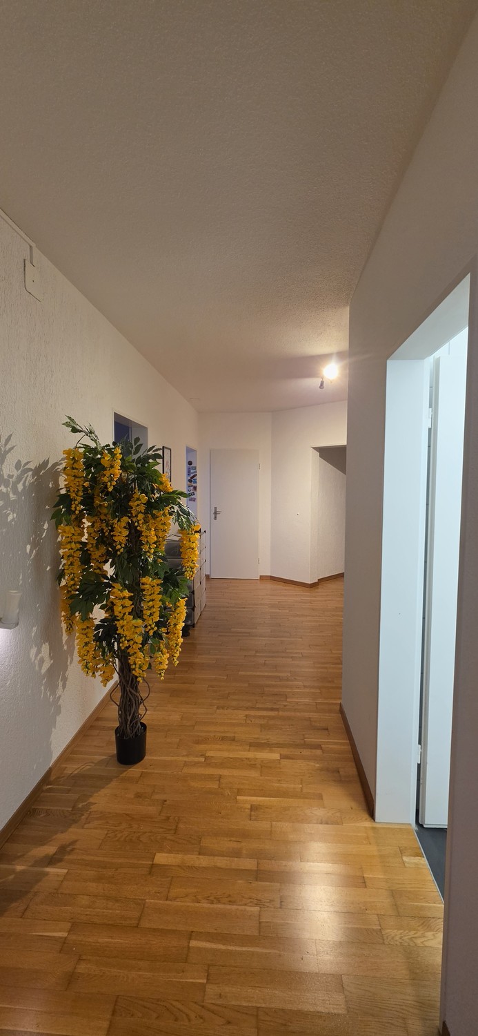 Chambre en colocation, photo 8 sur 10