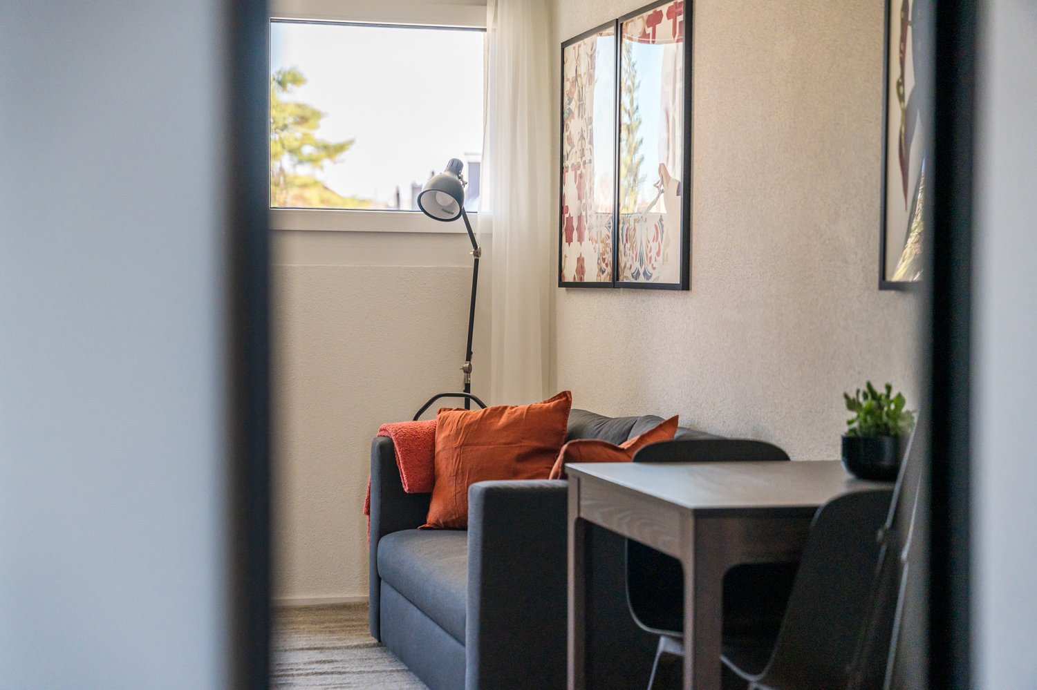 1 ½ pièces appartement meublé, photo 1 sur 8