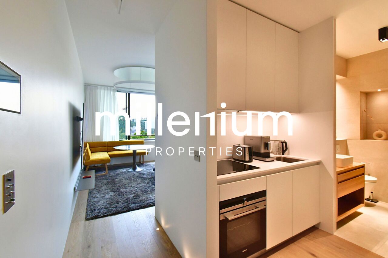 2 rooms apartment, photo 7 sur 10
