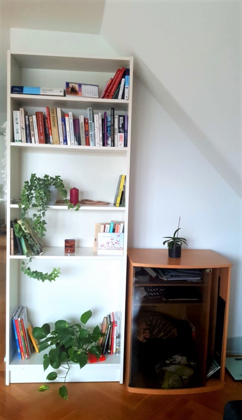 Appartement de 2 ½ pièces