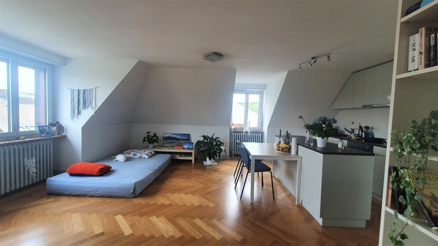 Appartement de 2 ½ pièces