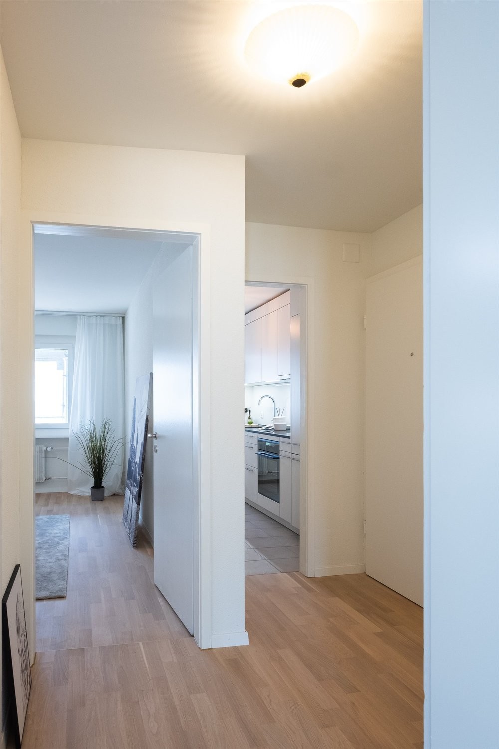Appartement de 1 ½ pièce