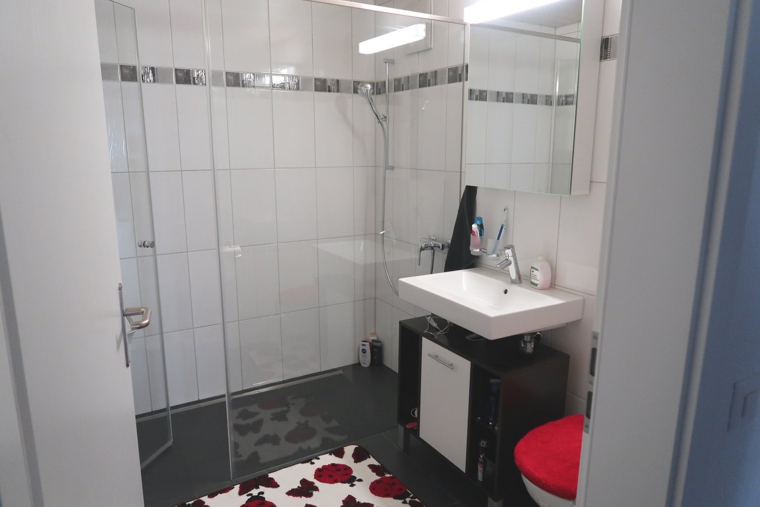 Appartement de 3 ½ pièces