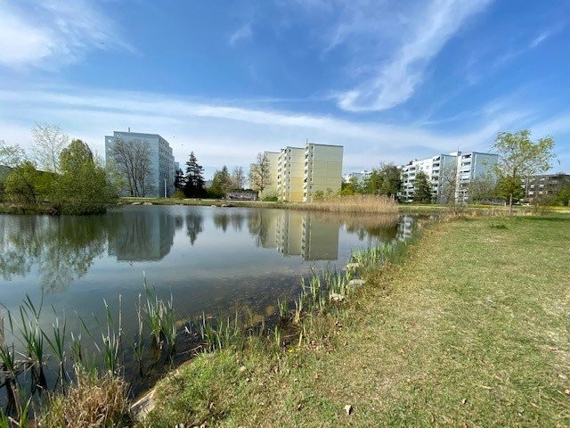Appartement meublé de 5 ½ pièces