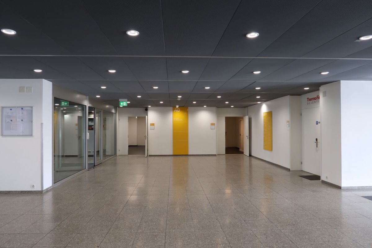 81m² bureau