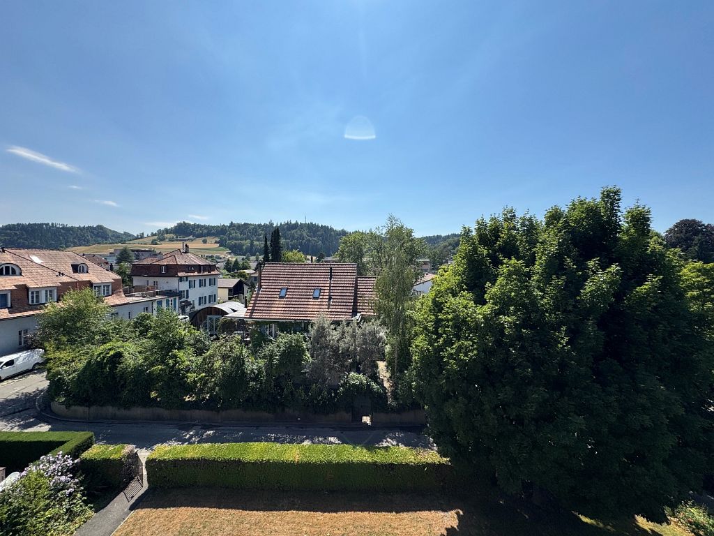 appartement mansardé de 1 pièce, photo 6 sur 6