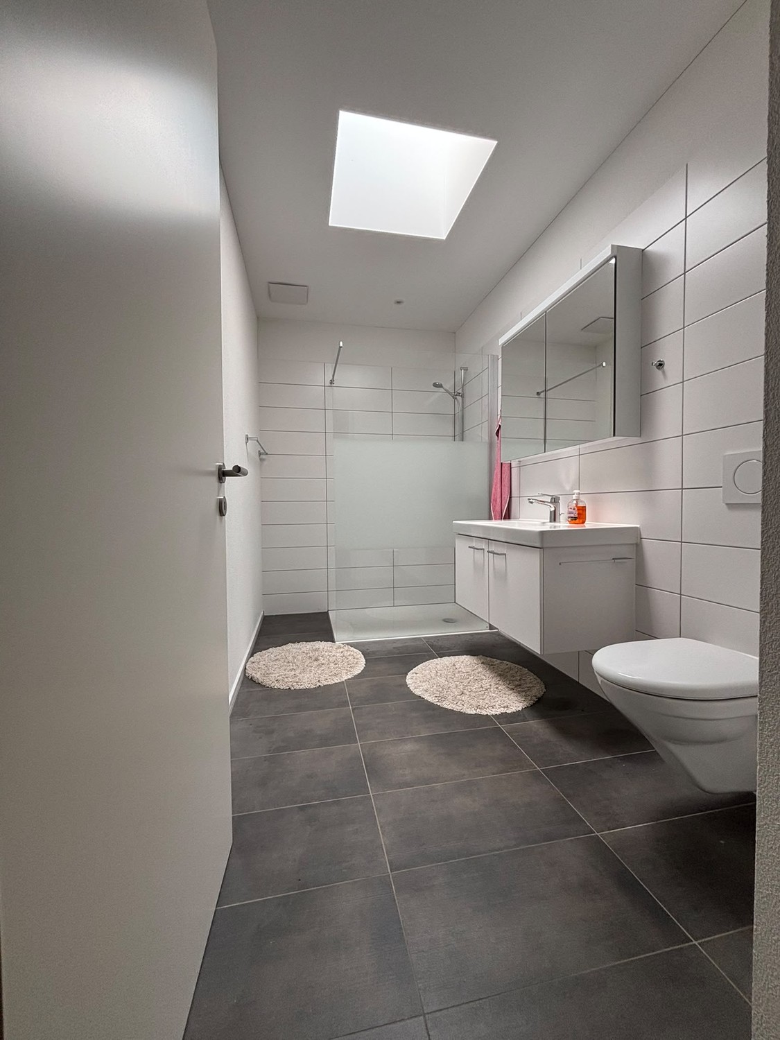 Appartement de 2 ½ pièces
