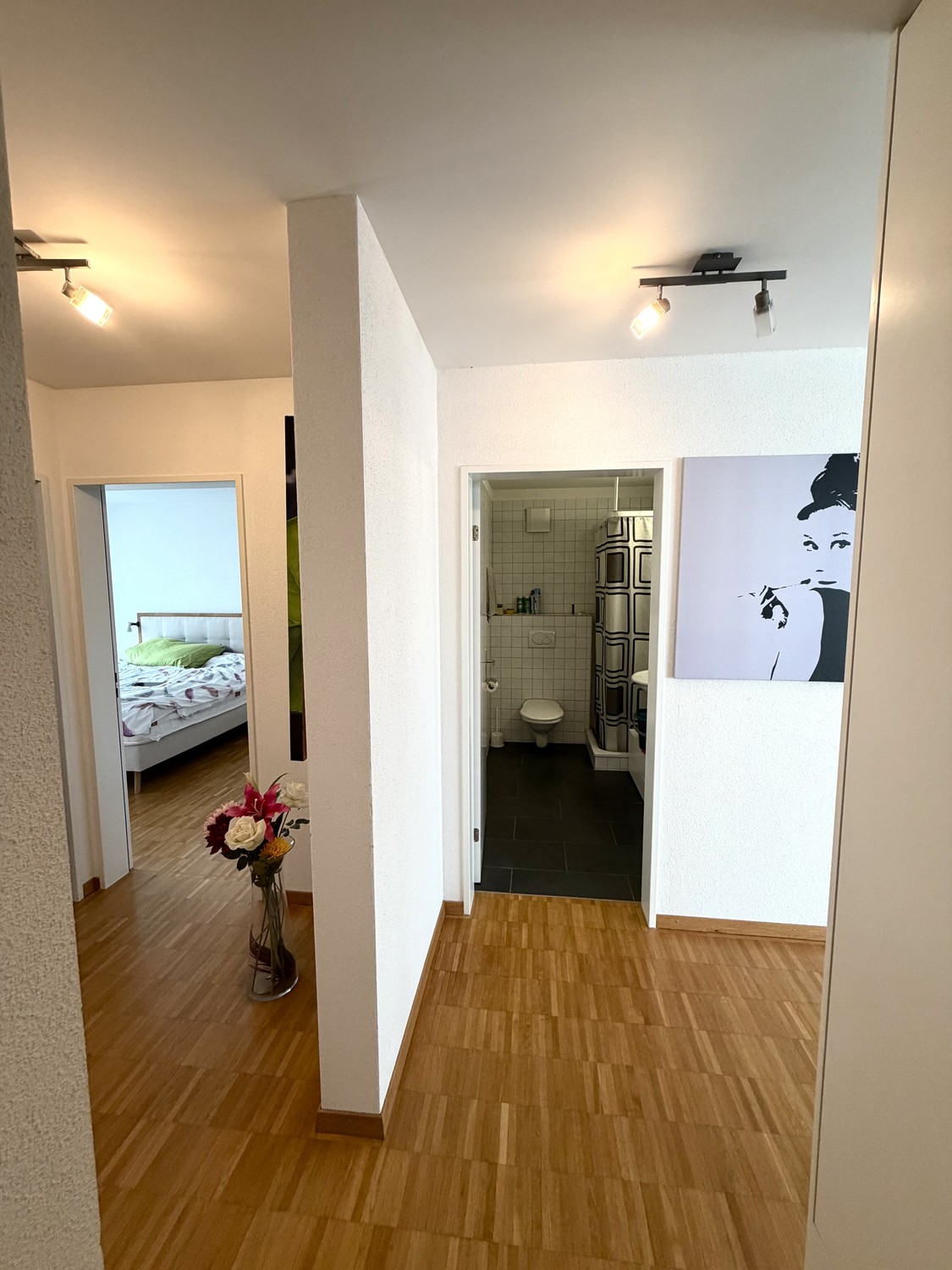 Appartement de 3 ½ pièces
