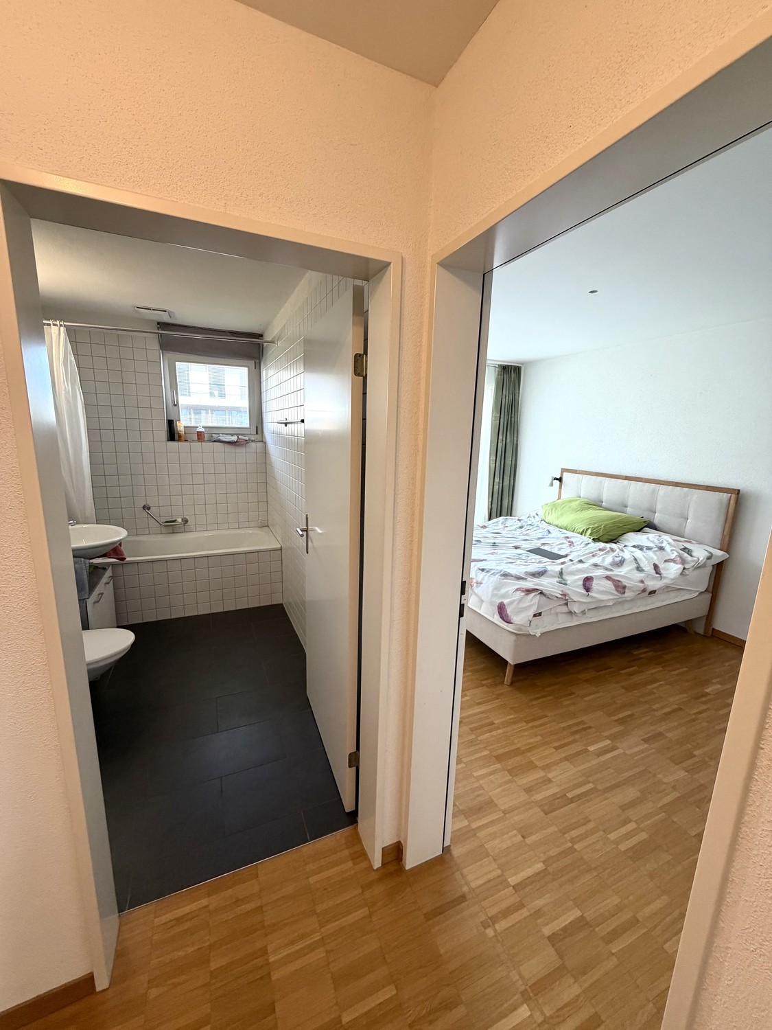 Appartement de 3 ½ pièces