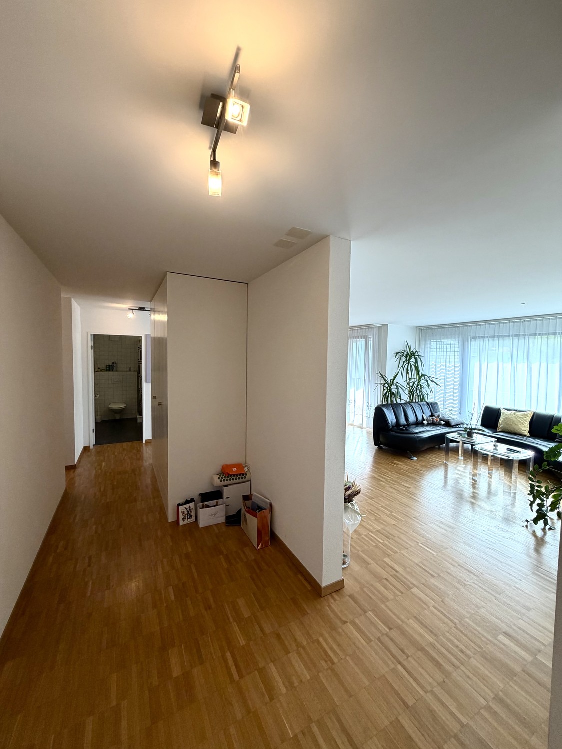 Appartement de 3 ½ pièces