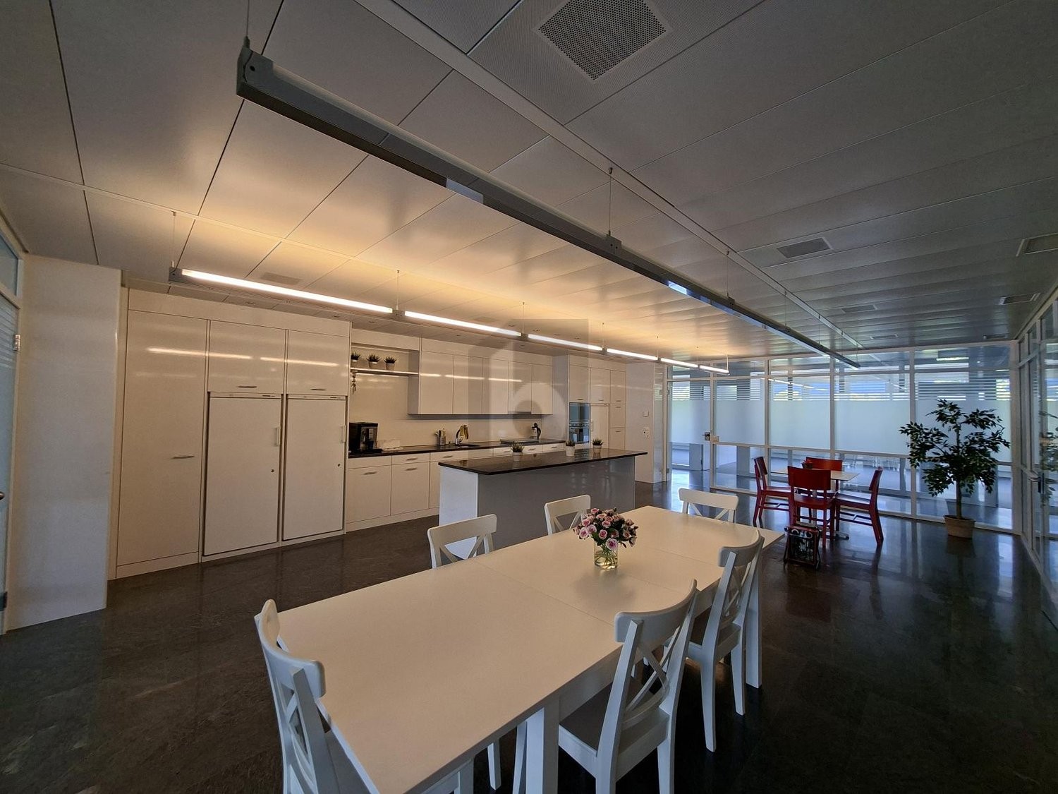 Bureau de 304m²