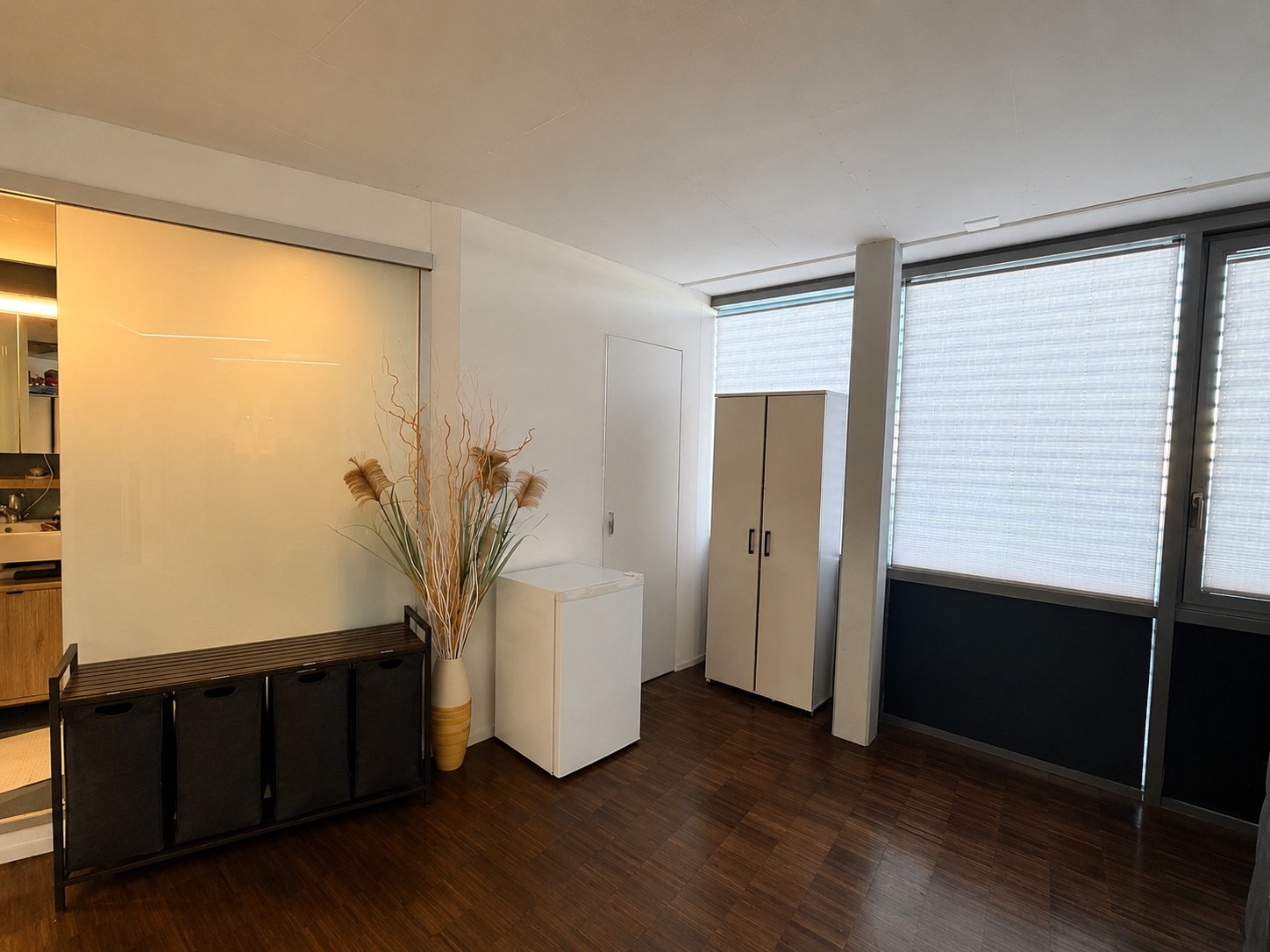 Appartement 1 ½ pièces