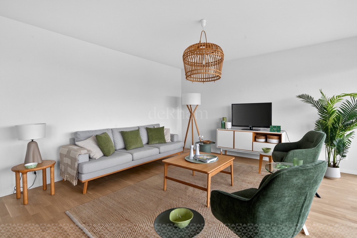 2 ½ rooms apartment, photo 3 sur 9