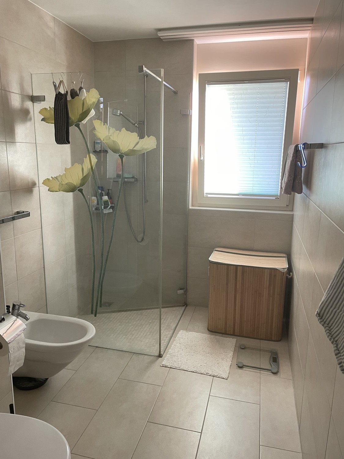 Appartement de 2 ½ pièces, photo 5 sur 10