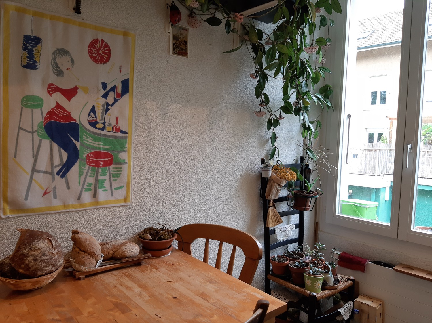 Chambre en colocation, photo 5 sur 9