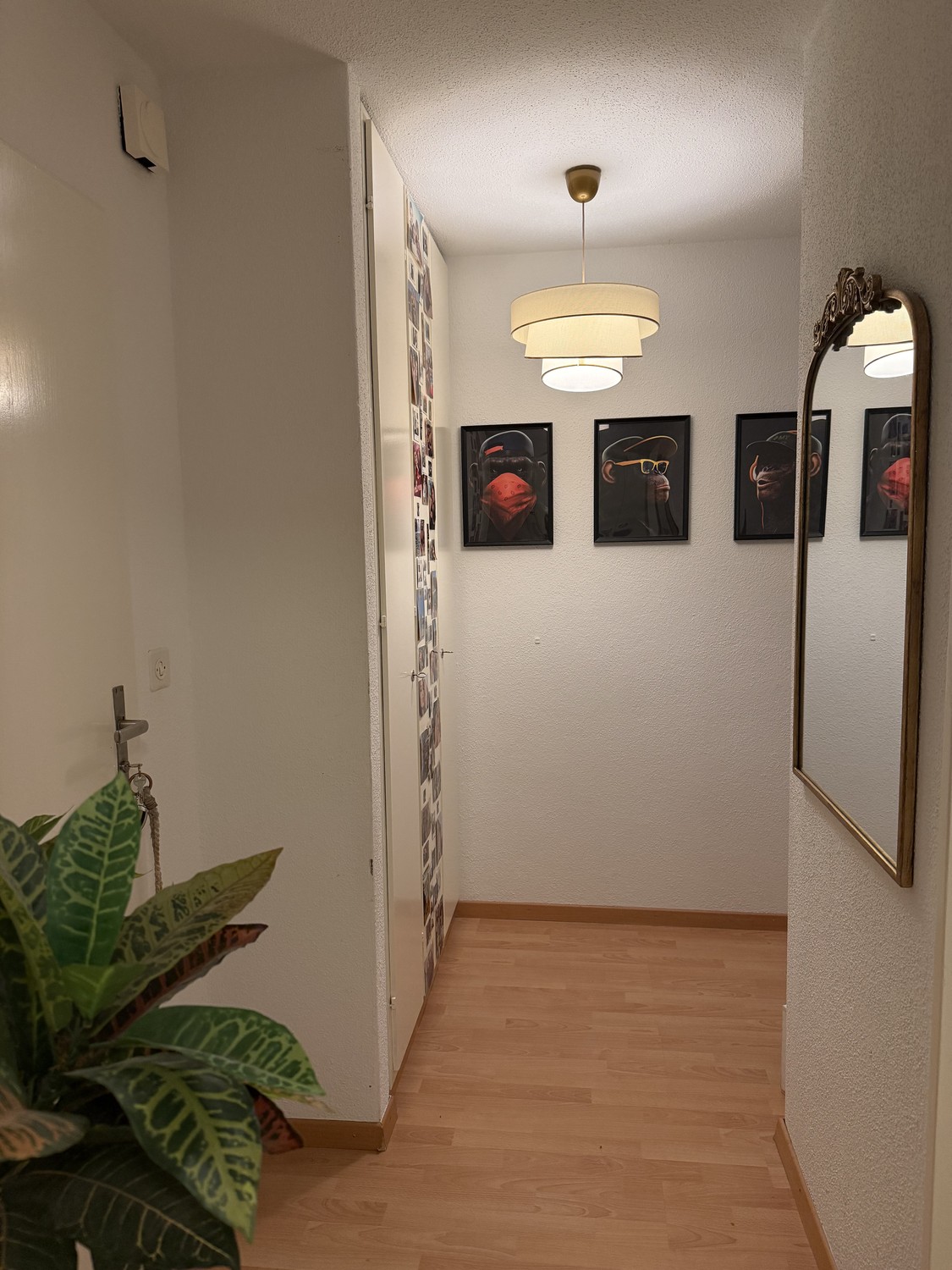 Appartement de 1 pièce, photo 5 sur 7