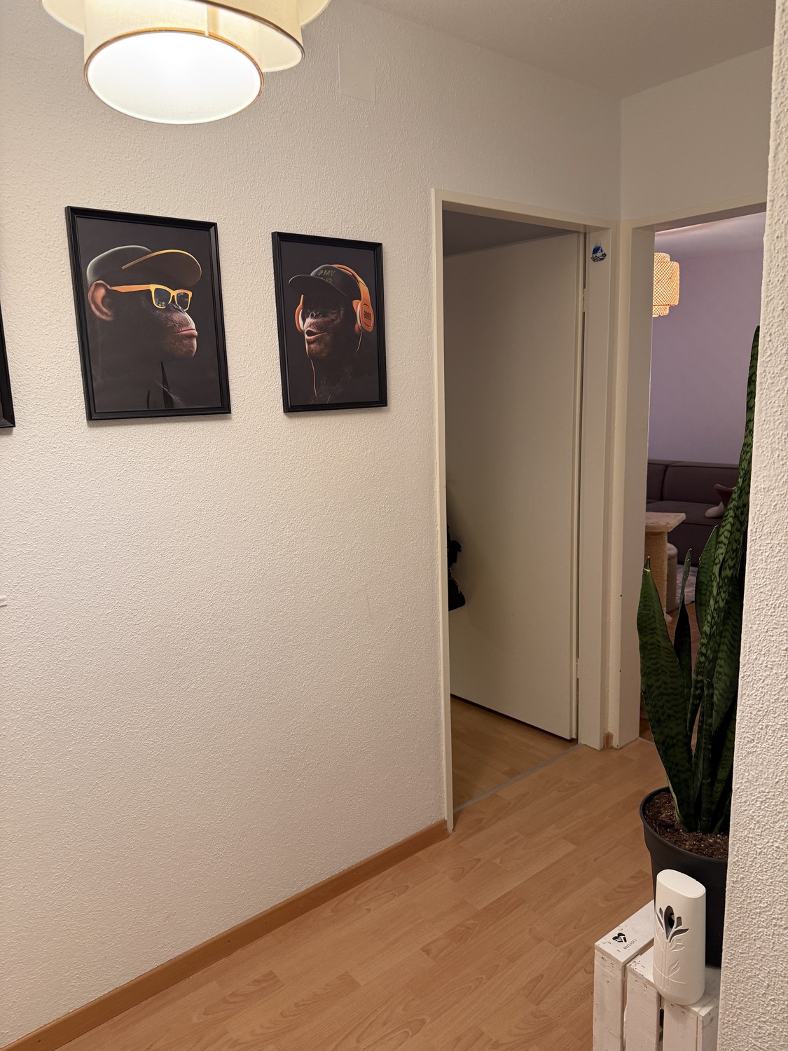 Appartement de 1 pièce, photo 6 sur 7