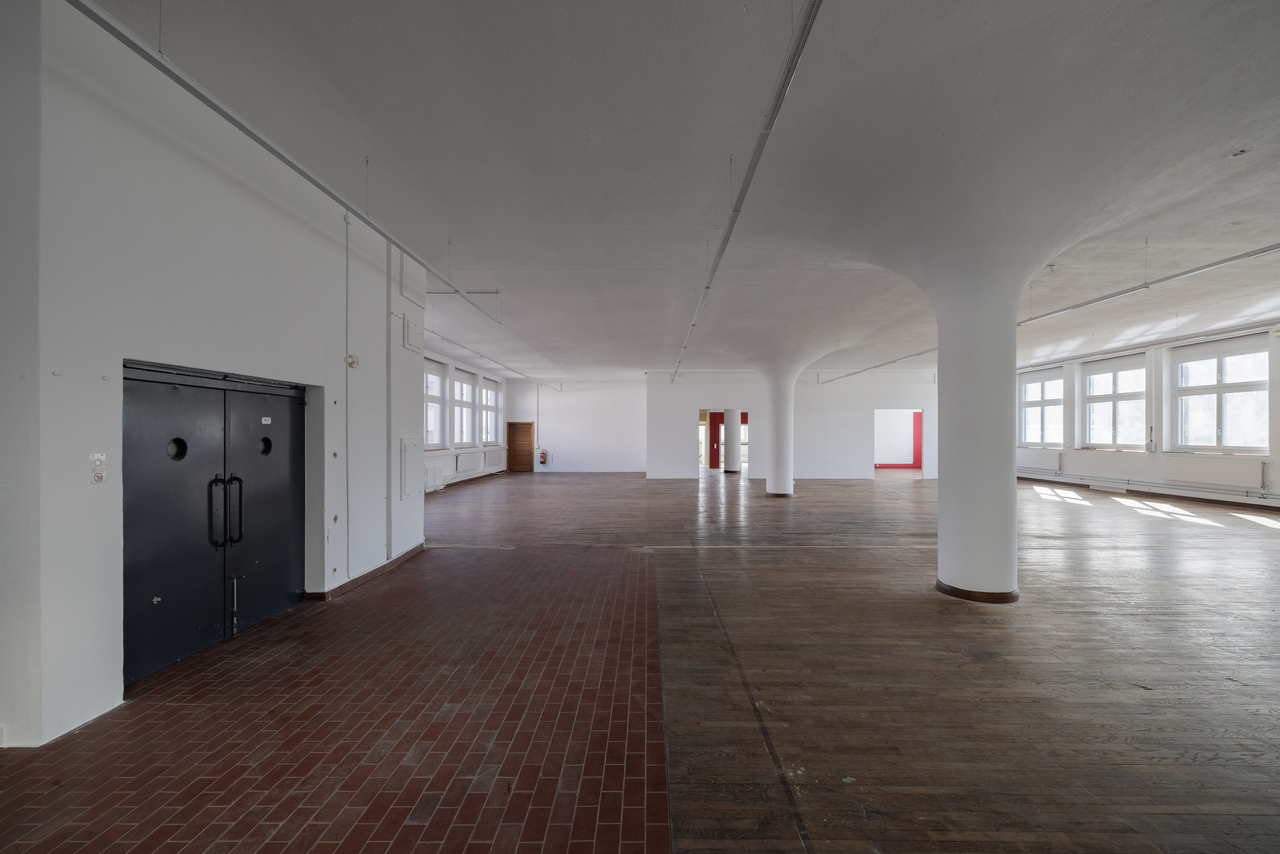 584m² commercial, photo 9 sur 10