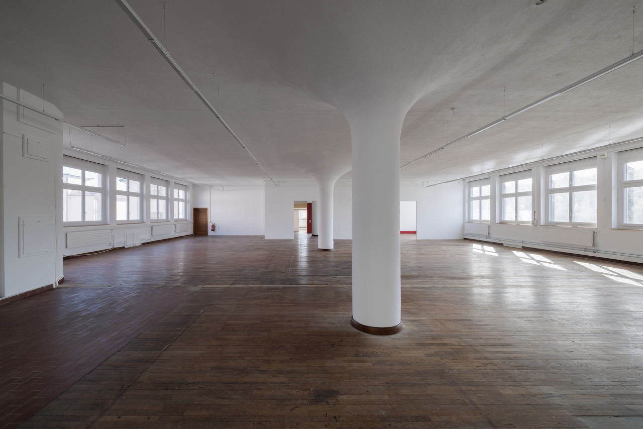 584m² commercial, photo 2 sur 10