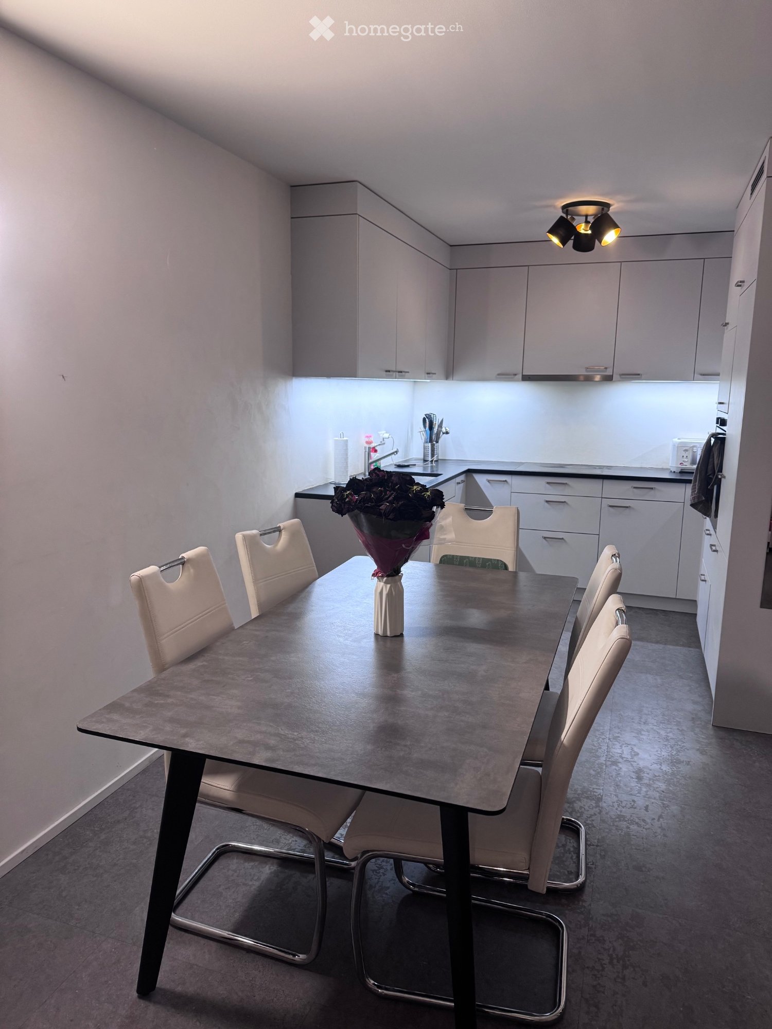 3 rooms apartment, photo 4 sur 5