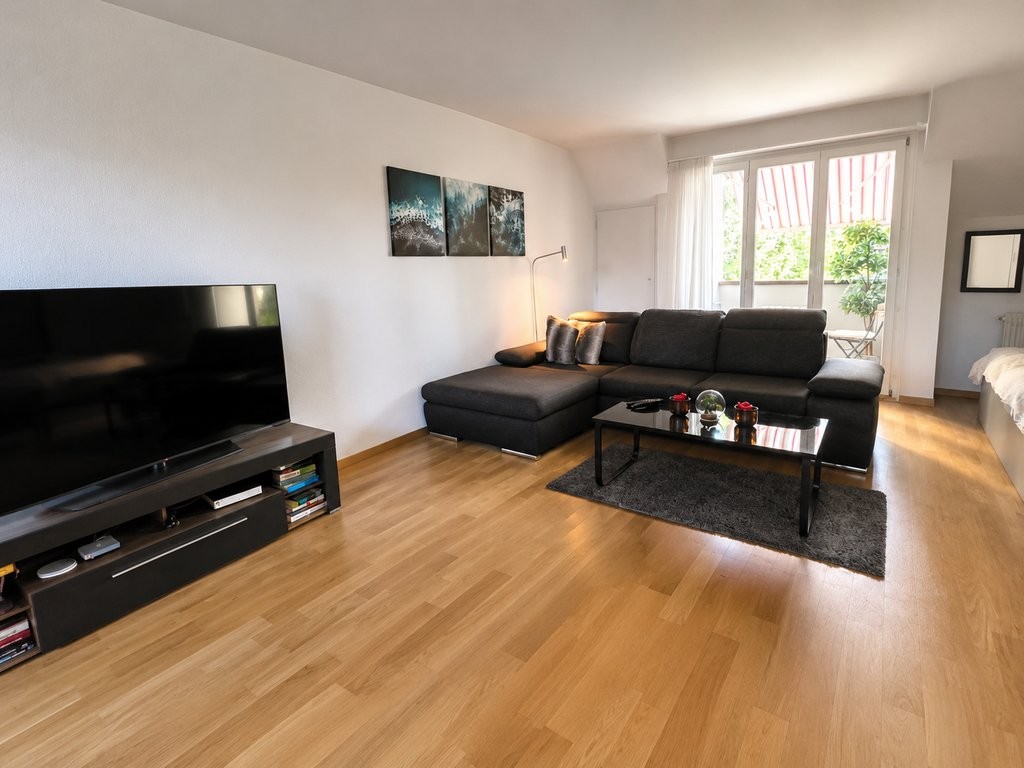 1 ½ pièces appartement