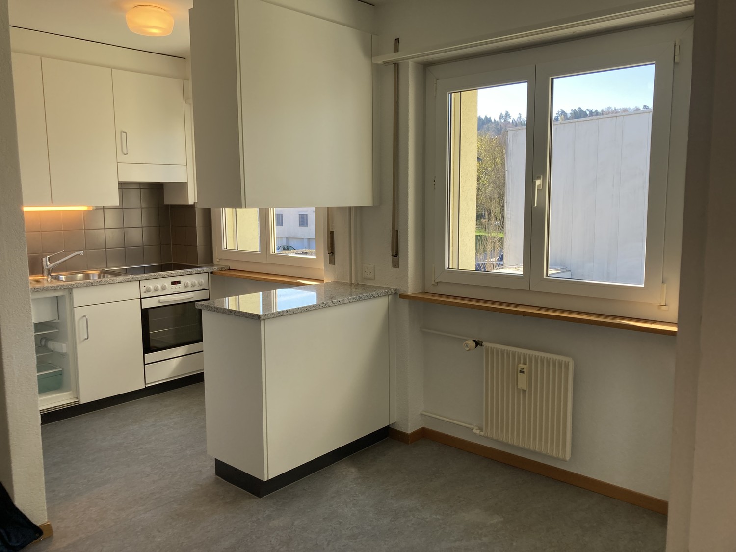 2 ½ rooms apartment