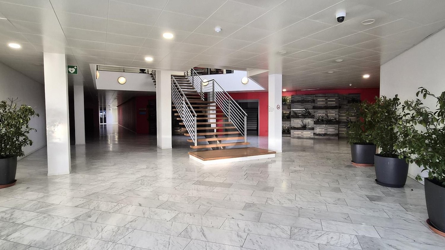 246m² de bureau