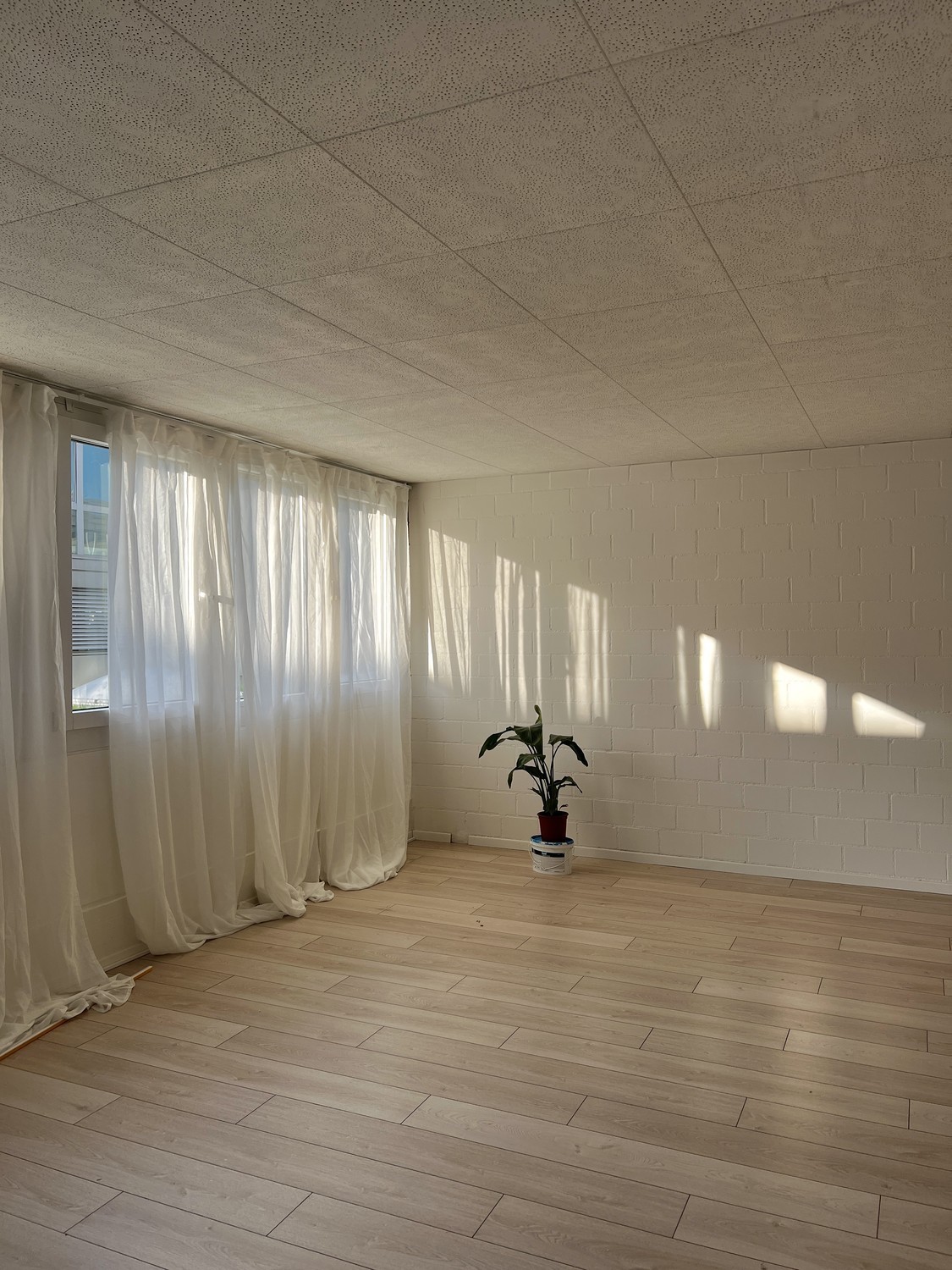 Bureau de 42m²
