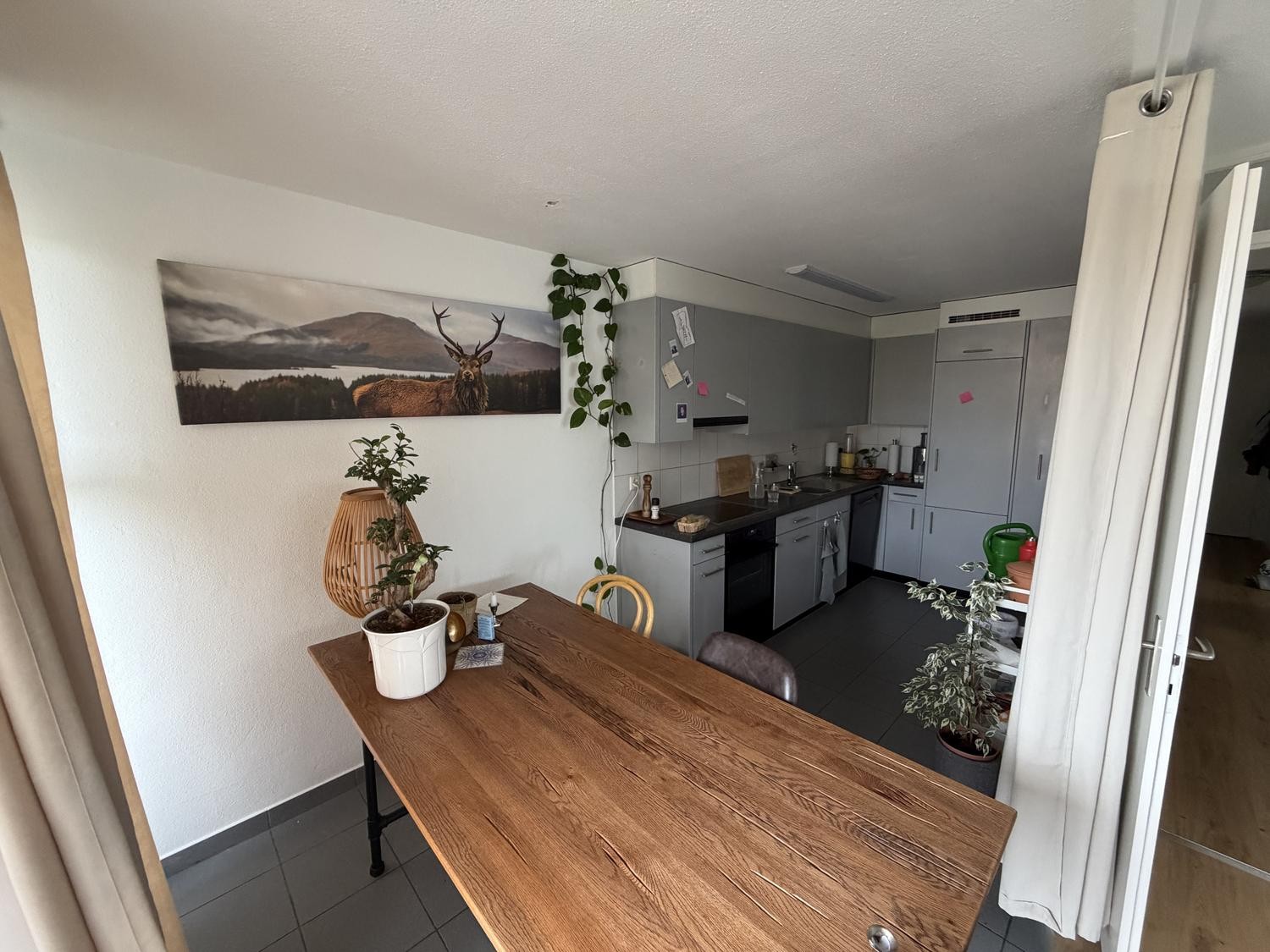 Appartement de 2 ½ pièces, photo 3 sur 4