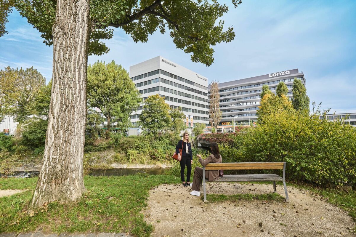 413m² de bureaux, photo 8 sur 10