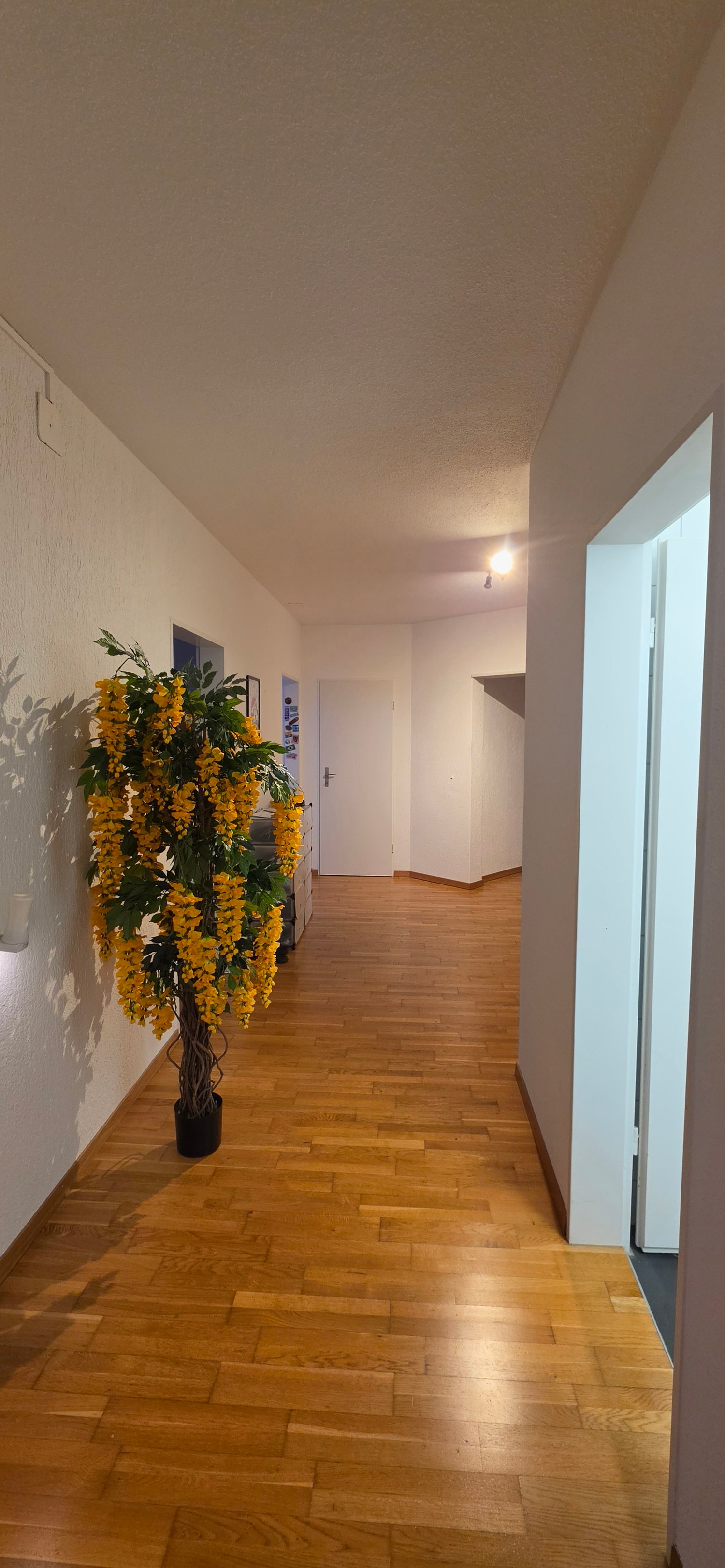 Chambre en colocation, photo 5 sur 10