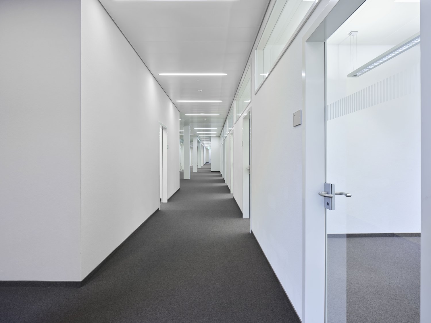 650m² bureau