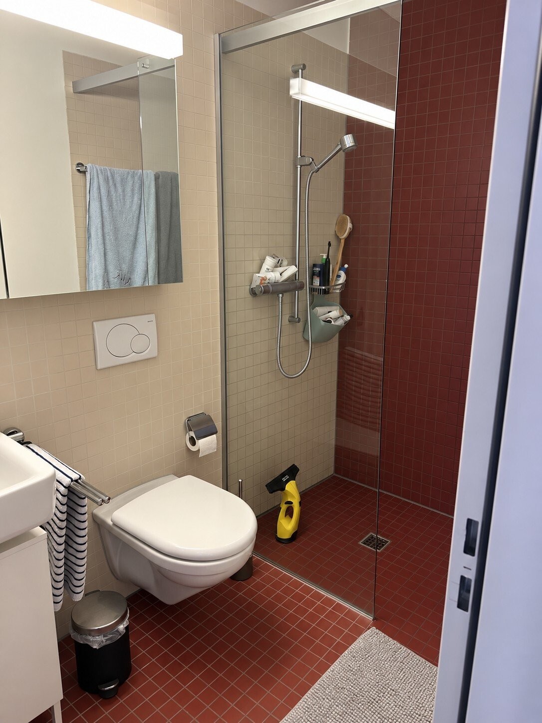 Appartement meublé de 3 ½ pièces