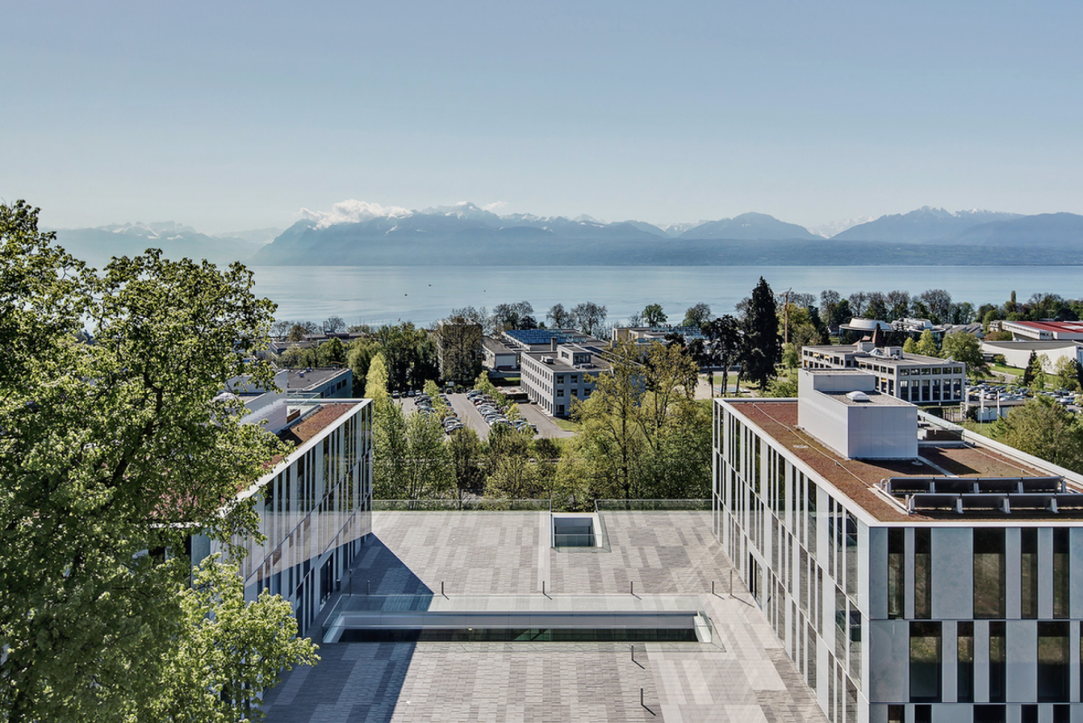 221m² office