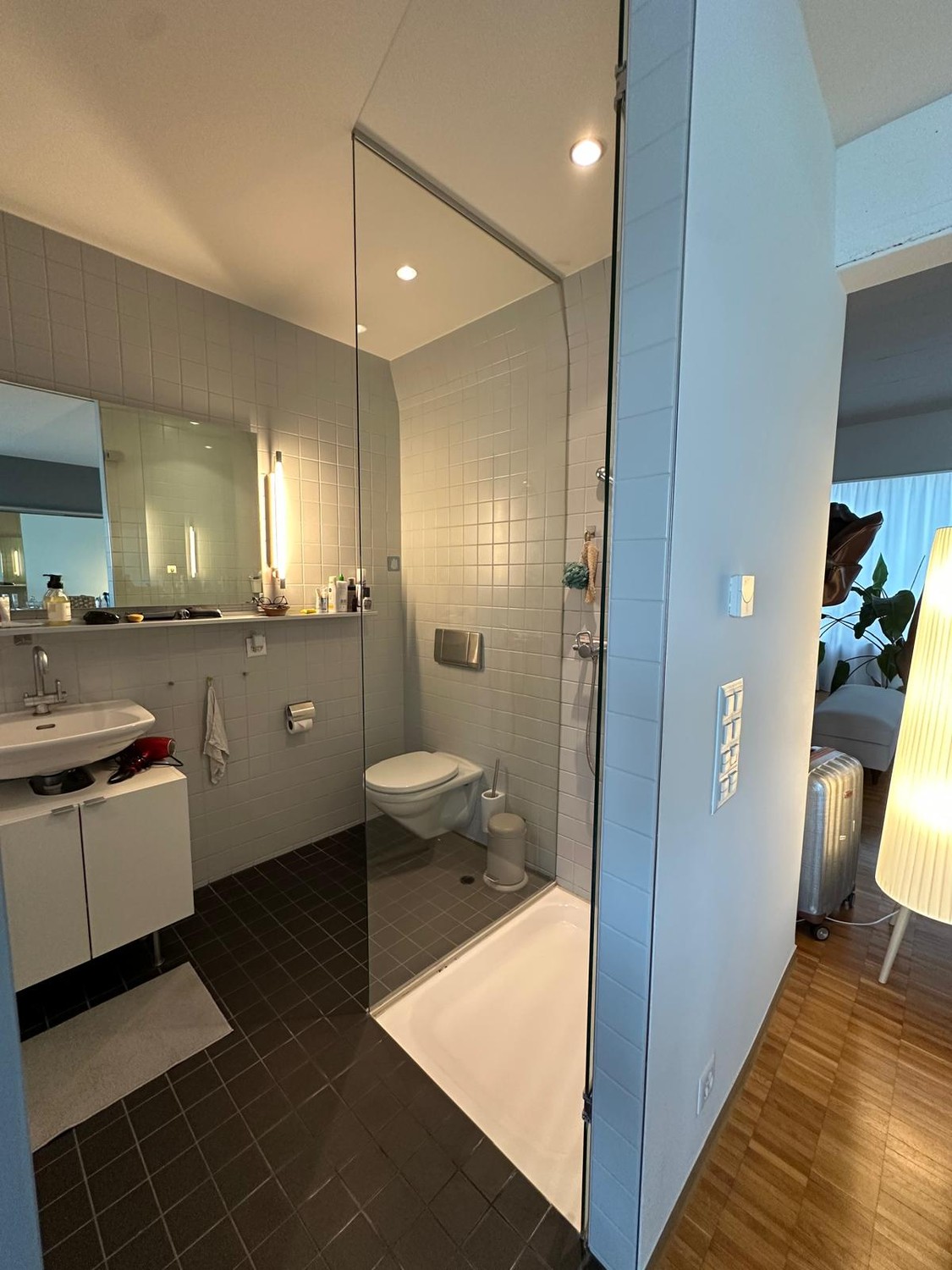Appartement de 1 ½ pièces