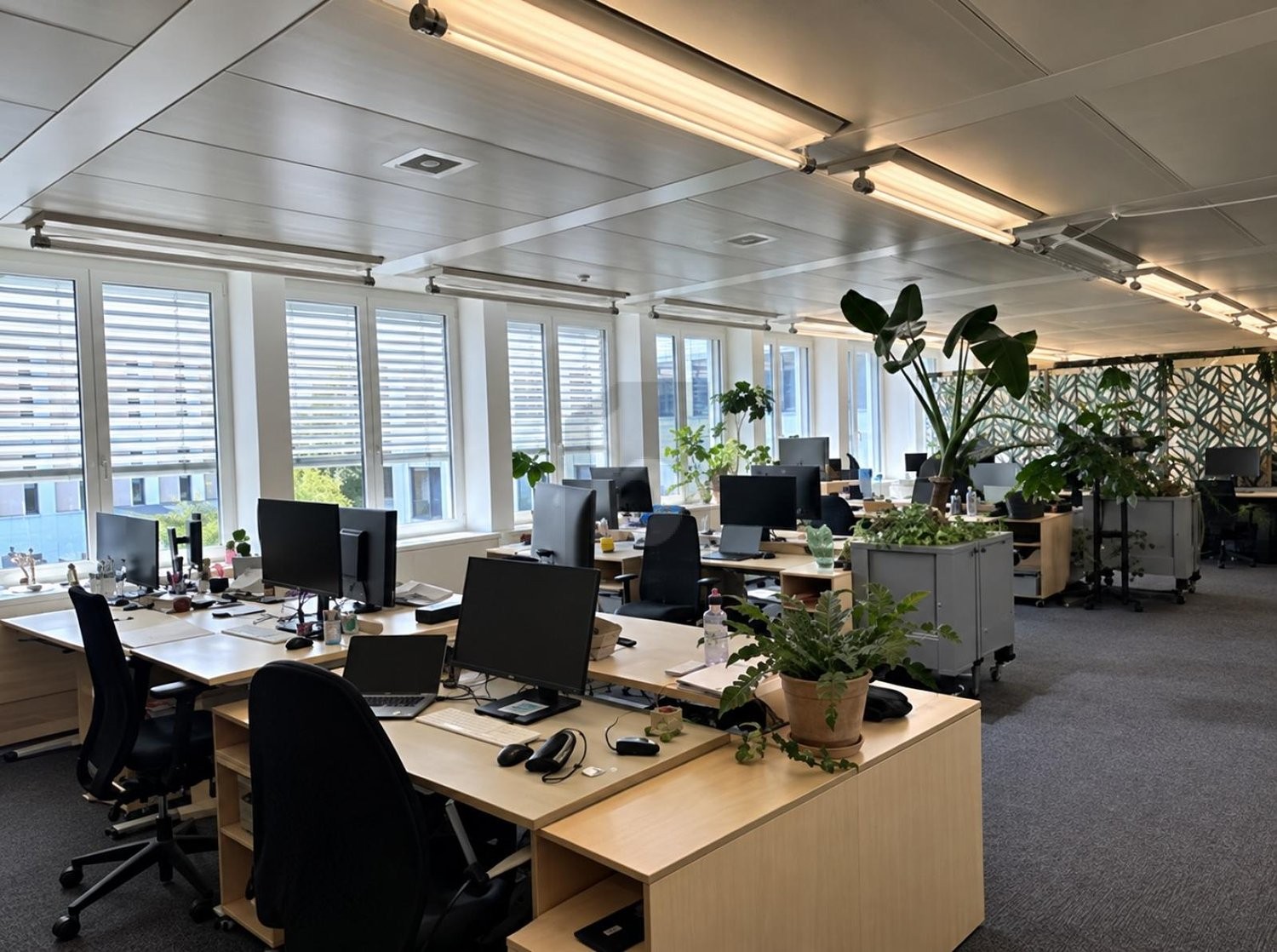 Bureau de 261m²