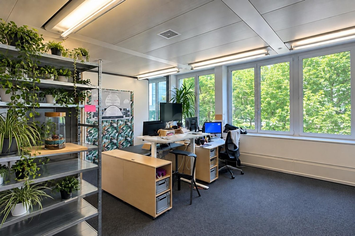 Bureau de 261m²