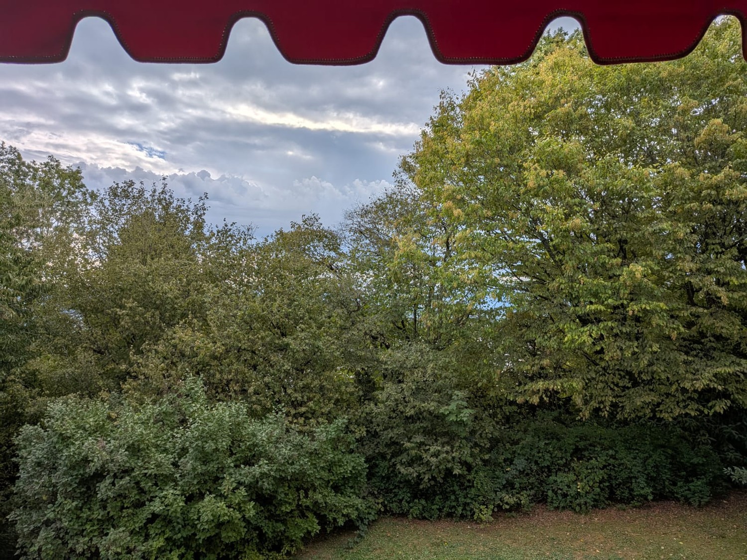 Appartement de 1 ½ pièces