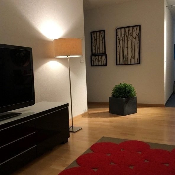 Appartement meublé de 2 ½ pièces, photo 3 sur 10