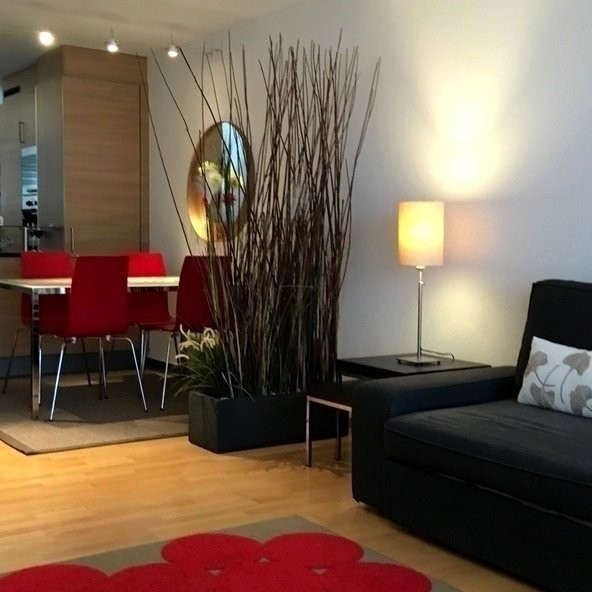 Appartement meublé de 2 ½ pièces, photo 4 sur 10